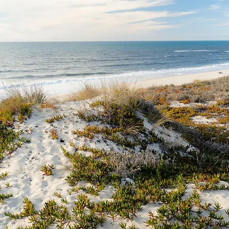 Shellter By The Sea ויירה דה לייריה