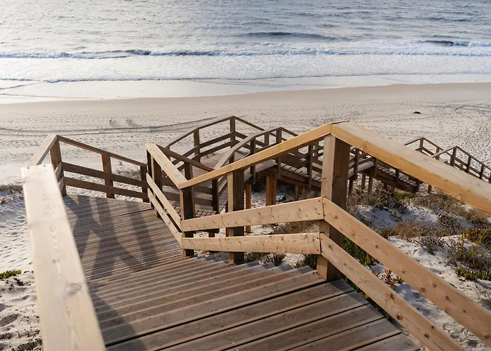 Apartamento Shellter By The Sea Vieira de Leiria